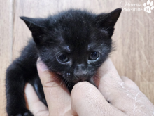 WhatsApp Image 2026-04-06 at 15.23.32.png