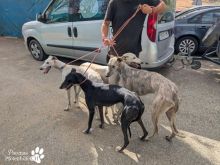 Photo_1760971644533 - Kopie.jpg