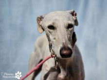 Photo_1769875842255 (1).jpg