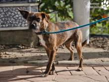 WhatsApp Image 2026-01-24 at 13.00.05.png