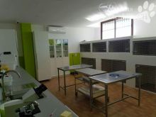 received_10208625018652098.jpg