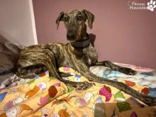 Foto 21.03.26, 08 51 49 (5).jpeg