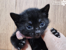 WhatsApp Image 2026-04-06 at 15.23.30-1.png