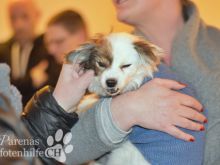 Foto 18.03.16, 19 12 41.jpg
