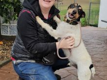 Photo_1770812266864 (1).jpg