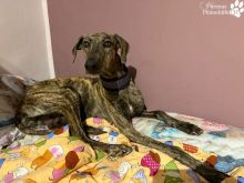 Foto 21.03.26, 08 51 49 (1).jpeg