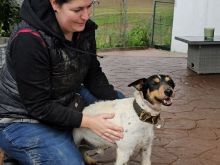 Photo_1770812356624 (1).jpg