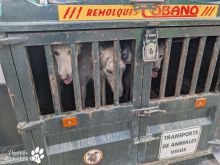 Photo_1760971646889 - Kopie.jpg