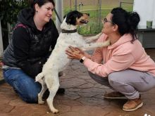 Photo_1770812083260 (1) (1).jpg