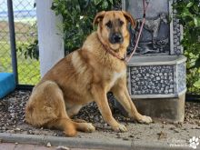 Photo_1772894667989 (1).jpg