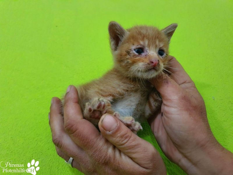 438170008_839574228203050_769868546758748239_n.jpg